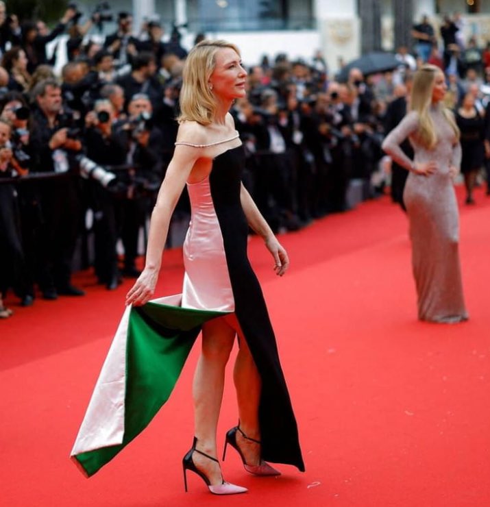 🇫🇷 Cannes film festivalı Cate Blanchett Bizim neden adam gibi bir sanatçımız yok ?