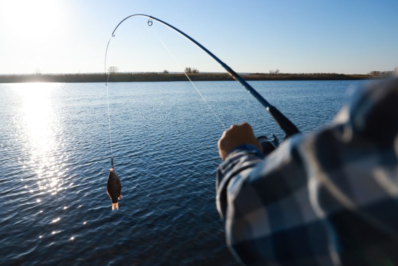 Virginia Marine Resources Commissioner Jamie L. Green announced Monday that June 7-9 will be designated as free fishing days across the state. trib.al/YmiDE3u