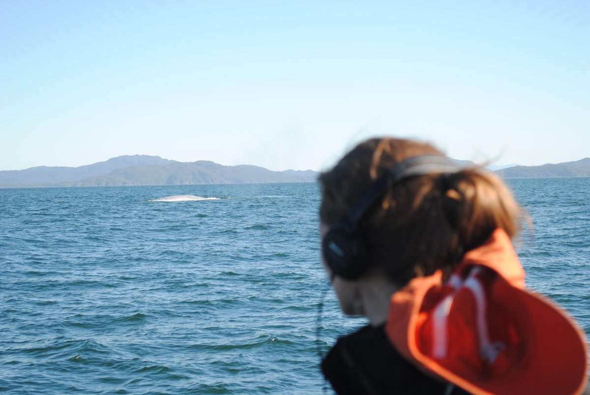 COPAS Coastal tweet media