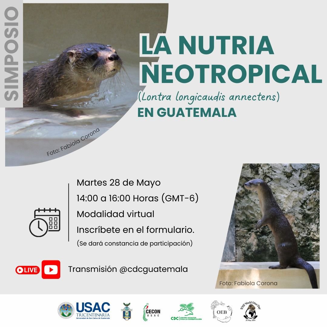 CDC Guatemala tweet media