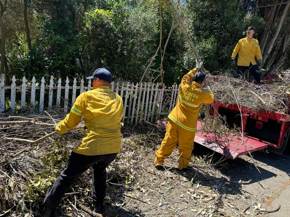 calfireSCU's tweet image. Firefighters from #CALFIRESCU &amp;amp; @AlamedaCoFire have been working together to provide chipper services to residents in high fire severity zones.
We are thrilled to collaborate with #ACFD to make a more fire resilient community.
Info: readyforwildfire.org
#WildFirePreparedness