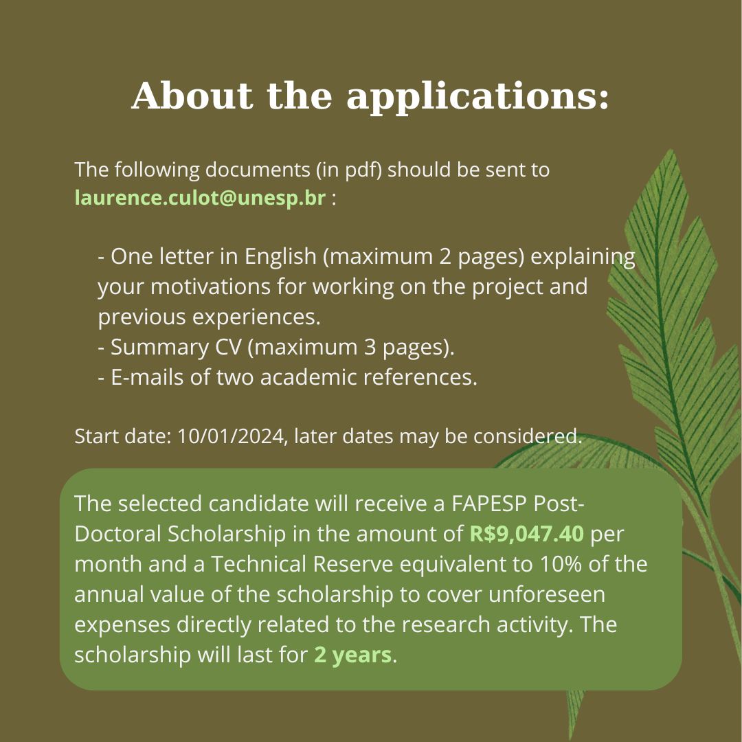 Post doc Fapesp fellowship opportunity in my lab (Laboratory of Primatology - <a href="/Unesp_Oficial/">UNESP</a>) (duration: 2 years).
The candidate needs to have previous knowledge in bioacoustics, interest in landscape ecology and primate conservation.
Application deadline: July 31st, 2024