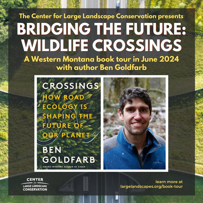 Montana friends! In partnership with <a href="/Largelandscapes/">Center for Large Landscape Conservation</a>, I'll be hitting the (ahem) road in June for talks in Bozeman, Missoula, and beyond. Looking forward to discussing ungulate migration, habitat connectivity, and wildlife crossings with y'all soon.

largelandscapes.org/book-tour/