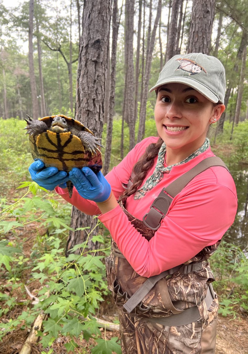 Turtle Tuesday 🤪🐢