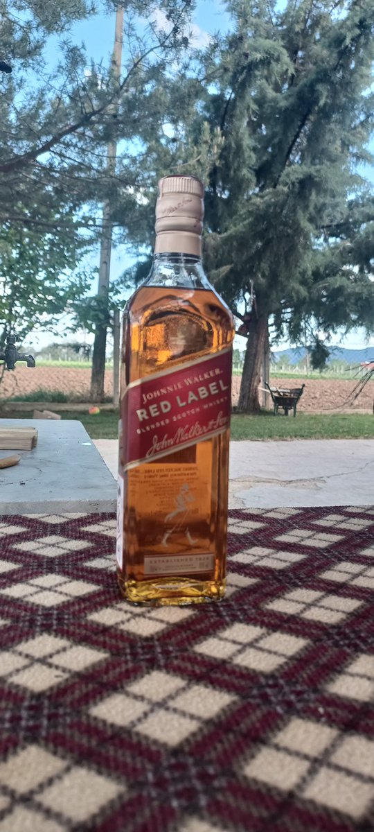 Biri Alkol yasaklansın demiş 😂 bizde en yakışıklısın i koyalım