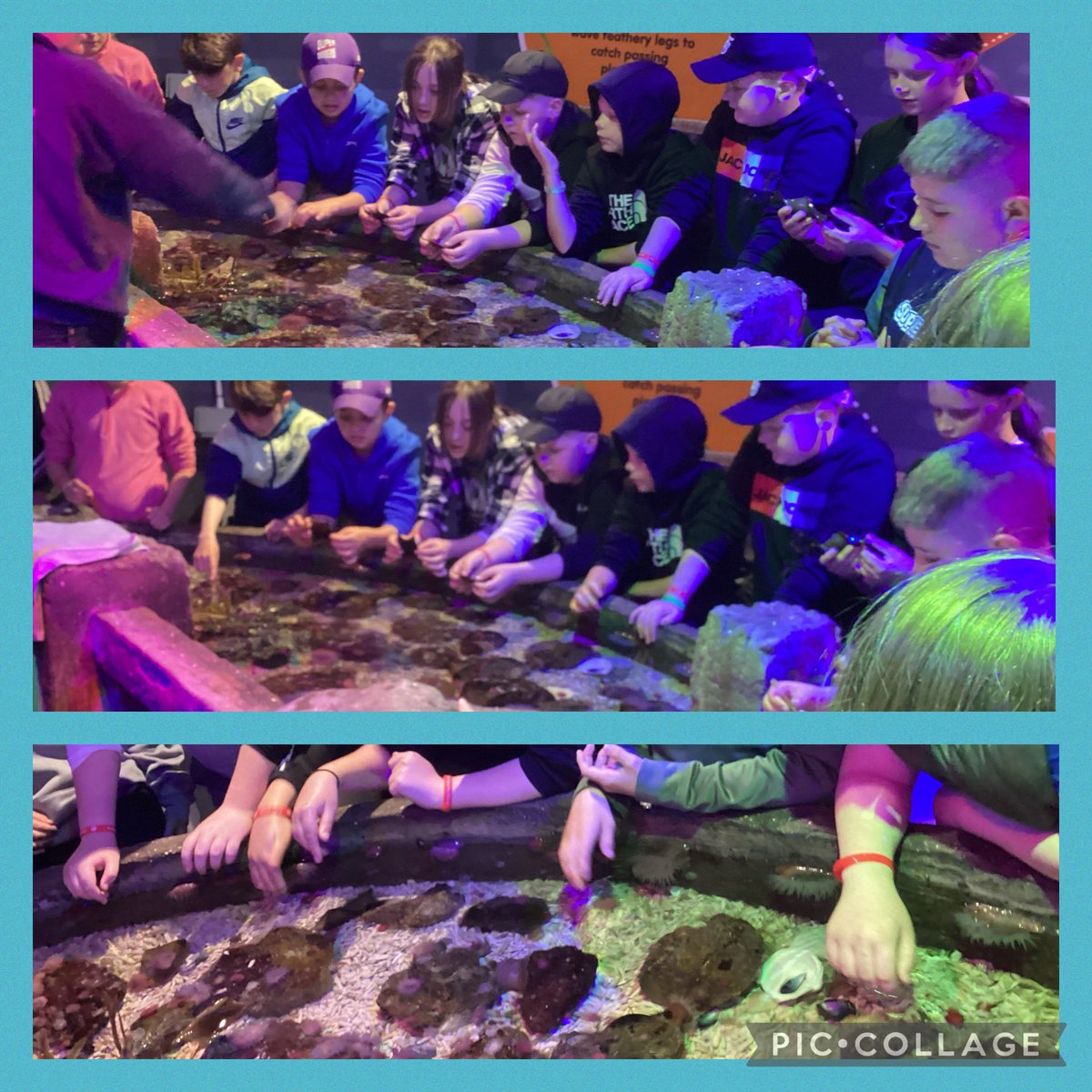 @BandBschool What a busy day part 1. A long walk and Sealife @eboractrust #bandbresidential #opportunities