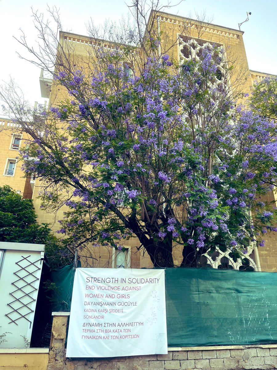 A powerful and inspiring image: a message of solidarity, sisterhood, love, peace, and unity, for the resilient & dynamic girls & women of Cyprus, in the Buffer Zone, beneath a blossoming tree, w/ the historic Ledra Palace in the backdrop 🇨🇾🕊️ #EndViolenceAgainstWomen