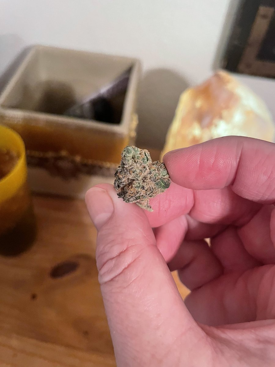 This is a good looking nugget, I like this strain. “Apes in space”

Which I’m pretty sure is a mix of
 “grape ape”, a purple strain, which is what it looks like, mixed with 
“Space head” or “space glue” .. something like that, some sort of OG derivative, which it smells like