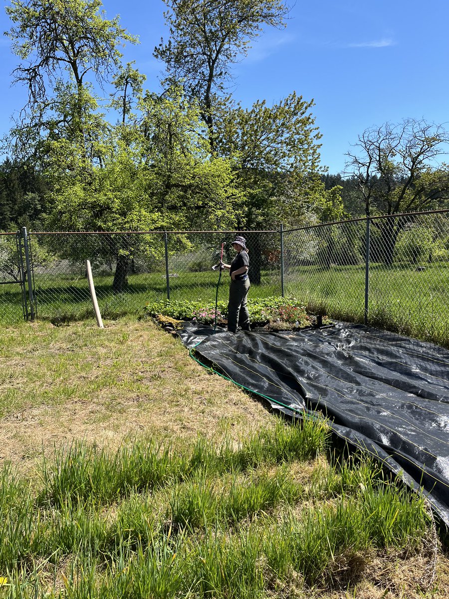 1/2: The soil is turning and things are being planted at the farm! 🌱❤️ We’ve got berries, squash, and pollinator plants going in to start things off, thanks to help from Actions’ #GoAndGrow group plus five students we’ve hired through #CanadaSummerJobs! 🤩👍 #GrowingTogether