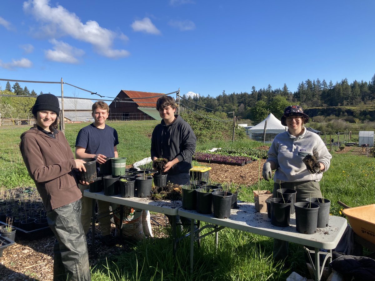 2/2: The soil is turning and things are being planted at the farm! 🌱❤️ We’ve got berries, squash, and pollinator plants going in to start things off, thanks to help from Actions’ #GoAndGrow group plus five students we’ve hired through #CanadaSummerJobs! 🤩👍 #GrowingTogether