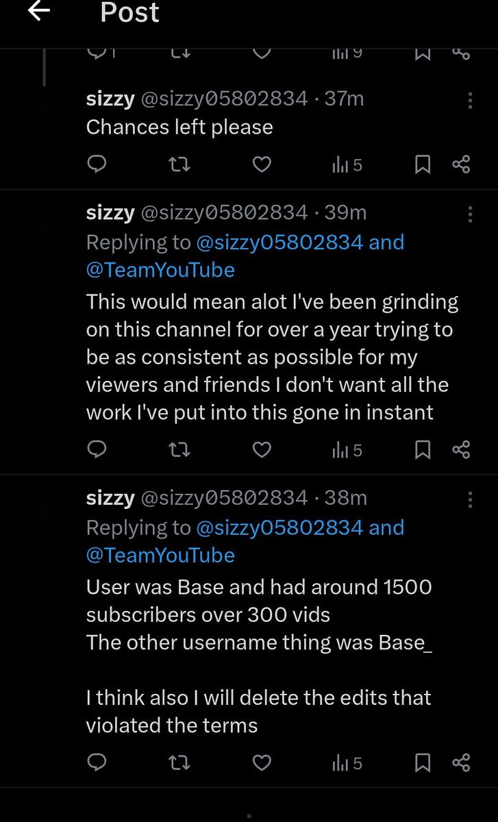 sizzy tweet media