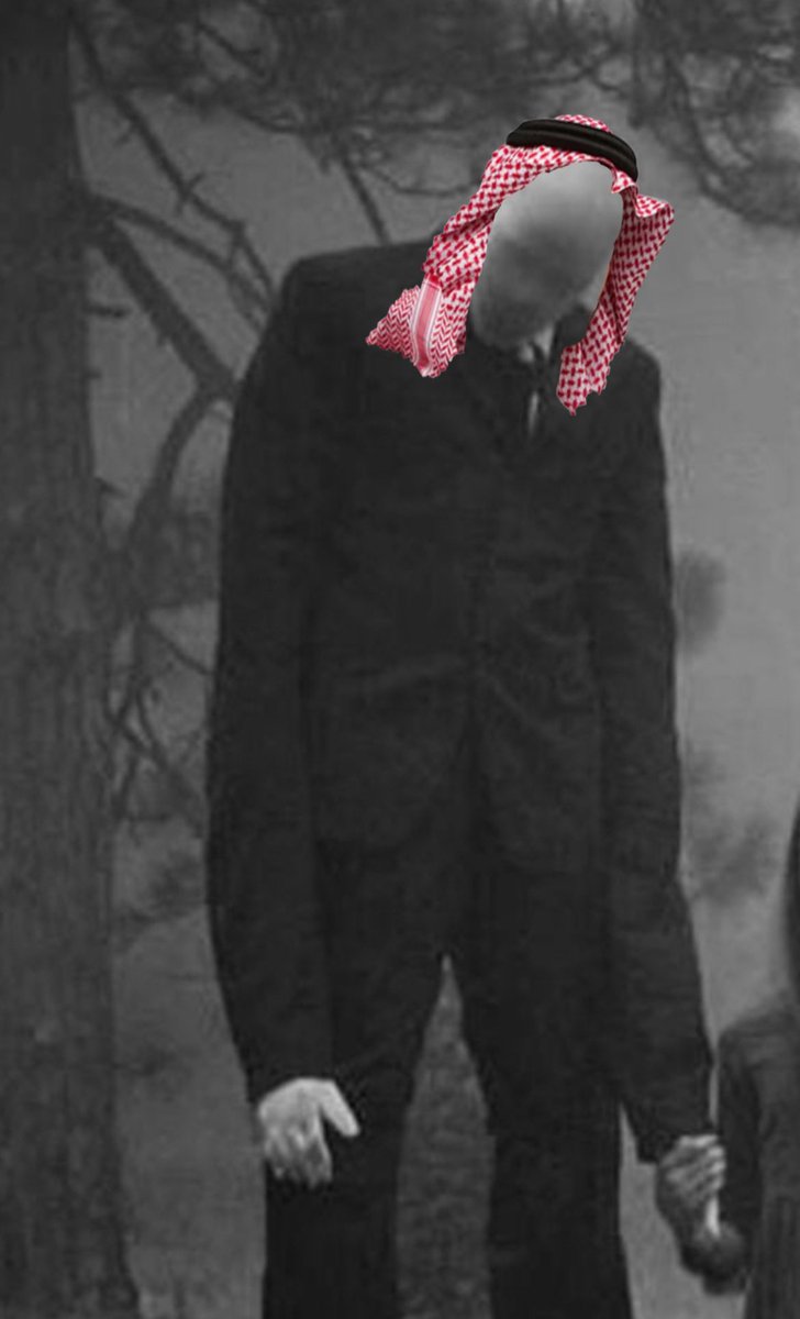 IraqCoinSol's tweet image. he is watching