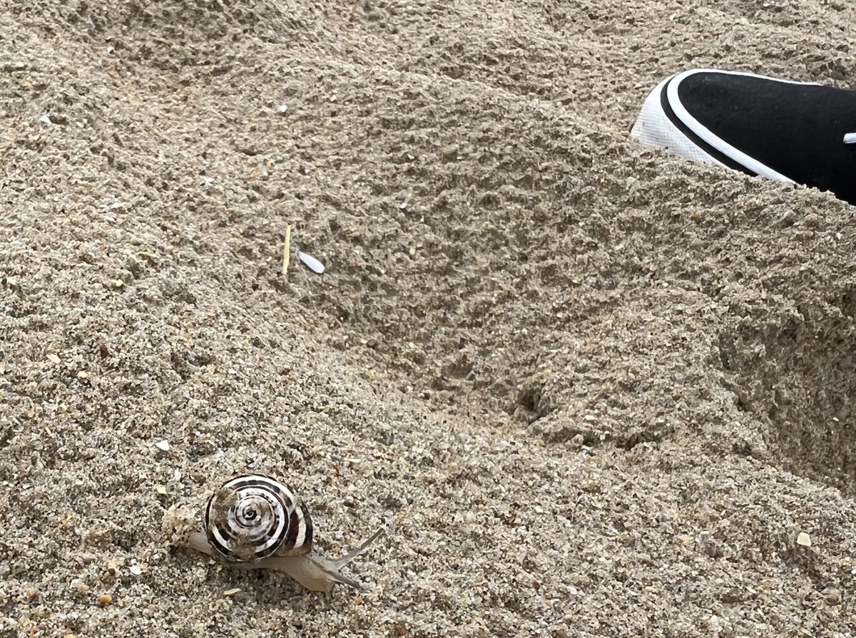 War heute mit Julchen am Strand joggen. 
Es ist so viel wert endlich den passenden Joggingpartner gefunden zu haben.