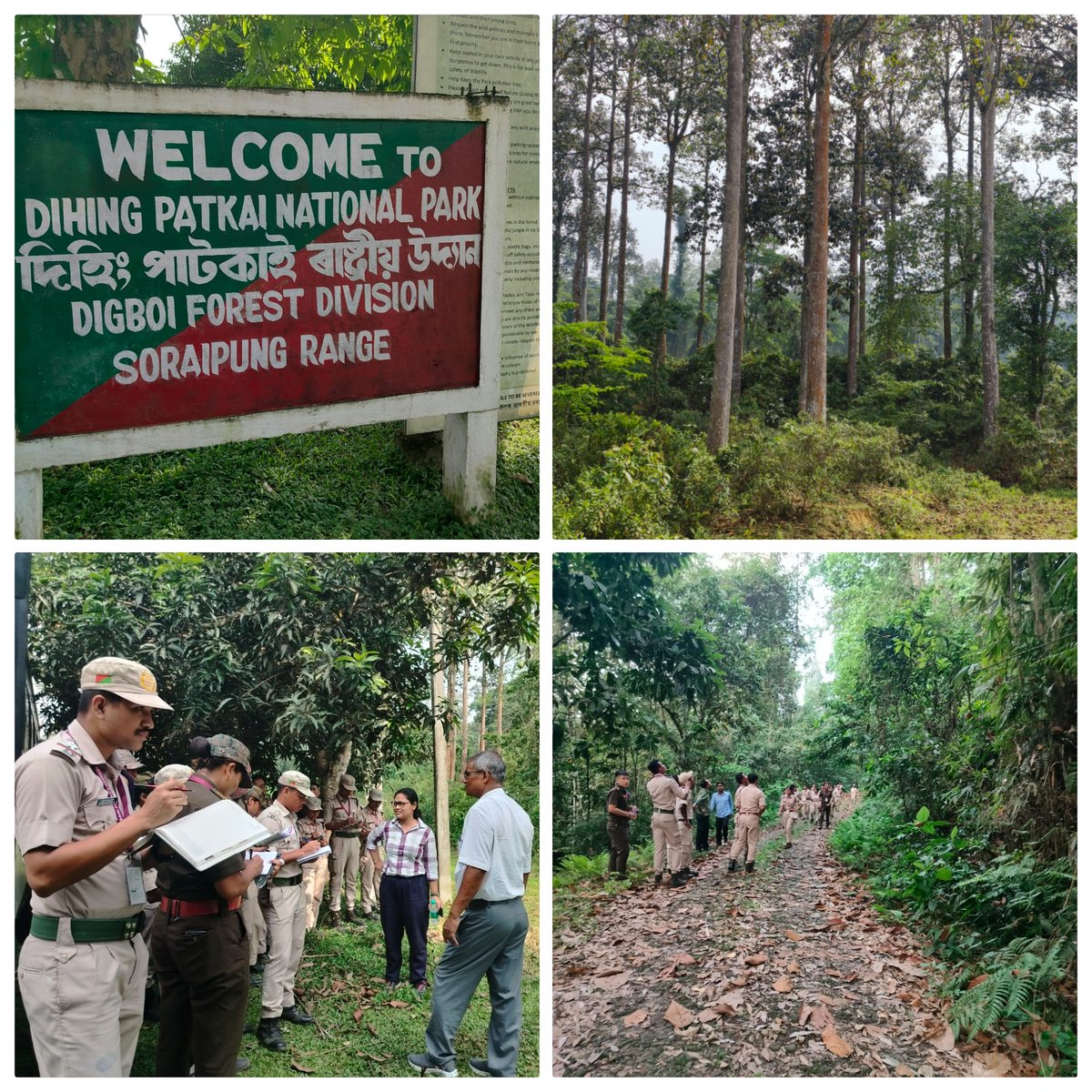 AFS_Assam's tweet photo. Educational Tour Day 8:
a) Explored Hollong-Mekai and Hollong-Nahar. #Biodiversity
b) Visited Margherita Plywood Industry. #SustainableIndustry
c) Toured Digboi Oil Museum. #OilHistory
d) Studied plants at Bogapani Arboretum. #Conservation

@cmpatowary @DFO_Digboi @assamforest https://t.co/hPvyWA7Kh4