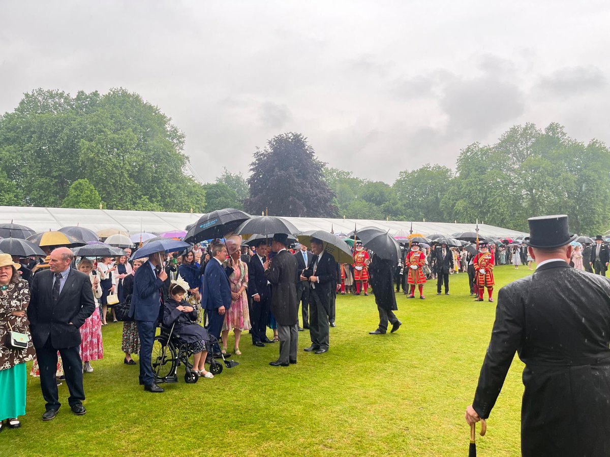 Had today's Buckingham Palace been a cricket match - with continuous rain in London - it would have been 'rain stopped play'. But the Royals and their Household supporters are made of sterner stuff. The show went ahead with umbrellas the most important fashion accessory.
