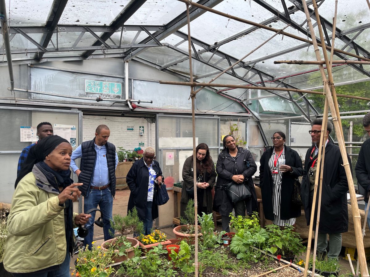 Haringey Council tweet media