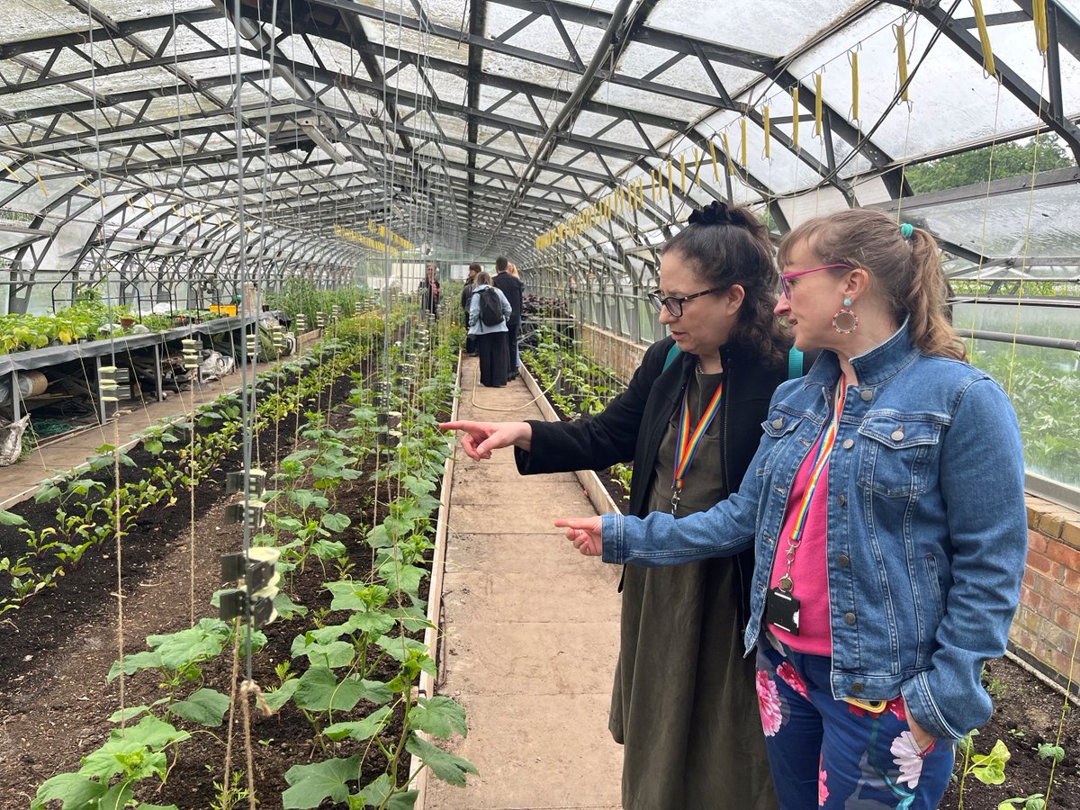 Haringey Council tweet media