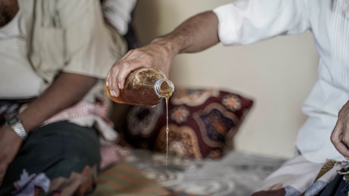 « La formation que j'ai reçue a été très utile. » Nabil, apiculteur et père de six enfants, a appris de nouvelles pratiques apicoles pour garder ses abeilles en bonne santé. Voyez comment la microfinance dynamise les petites entreprises rurales du Yémen. go.undp.org/ZQK