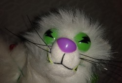 #TheIdeaFactory #TheIdeaFactoryBlinkyTheCatShockingStockingStuffersPlush #CatPlush #ChristmasPlush #Plushies #PlushPals

This is a The Idea Factory Meanies Blinky The Cat Shocking Stocking Stuffers plush and this is a very unique while cool plush.