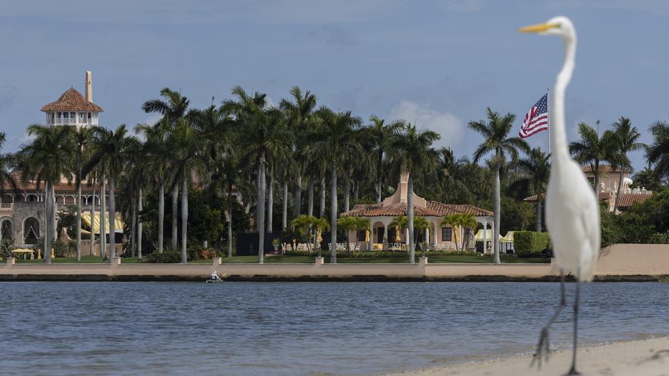 More Classified Documents Found At Mar-A-Lago—Including In Trump’s Bedroom—After FBI Search, Filing Reveals
go.forbes.com/c/jFkH