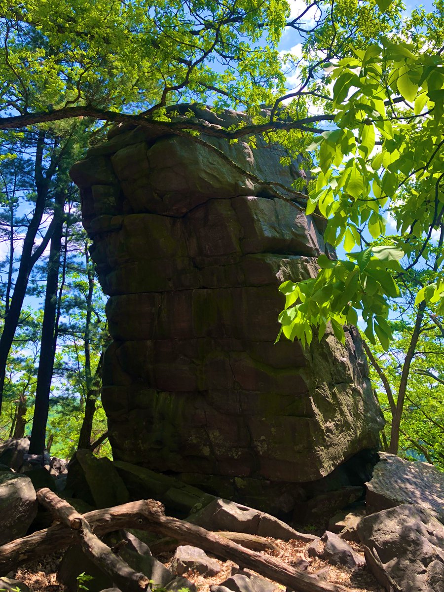 Hope everyone has a spectacular Tuesday ! ☀️ 🎉🌟

Devil’s Lake State Park WI
#Wisconsin #Baraboo #Devilslake #statepark #NatureExplorer #NatureIsAmazing