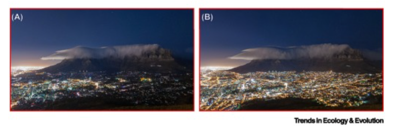 Arjun Amar (@arjundevamar) on Twitter photo Our Forum article is now out in <a href="/Trends_Ecol_Evo/">Trends in Ecology & Evolution</a> highlighting the unique opportunity of #loadshedding as a natural experiment to explore the impacts of ALAN on wildlife behaviour with <a href="/ChevReynolds/">Chevonne Reynolds</a> <a href="/robertL_thomson/">Robert L Thomson</a> <a href="/dmdominoni/">Davide M Dominoni</a> authors.elsevier.com/a/1j7fncZ3X04nm
Photo by <a href="/Eric_Nathan/">Eric Nathan</a> Our Forum article is now out in <a href="/Trends_Ecol_Evo/">Trends in Ecology & Evolution</a> highlighting the unique opportunity of #loadshedding as a natural experiment to explore the impacts of ALAN on wildlife behaviour with <a href="/ChevReynolds/">Chevonne Reynolds</a> <a href="/robertL_thomson/">Robert L Thomson</a> <a href="/dmdominoni/">Davide M Dominoni</a> authors.elsevier.com/a/1j7fncZ3X04nm
Photo by <a href="/Eric_Nathan/">Eric Nathan</a>