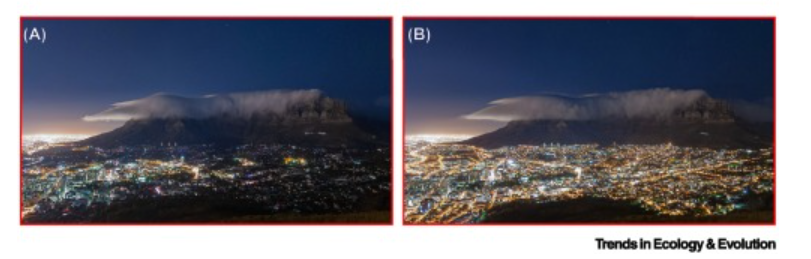 Our Forum article is now out in @Trends_Ecol_Evo highlighting the unique opportunity of #loadshedding as a natural experiment to explore the impacts of ALAN on wildlife behaviour with @ChevReynolds @robertL_thomson @dmdominoni authors.elsevier.com/a/1j7fncZ3X04nm Photo by @Eric_Nathan