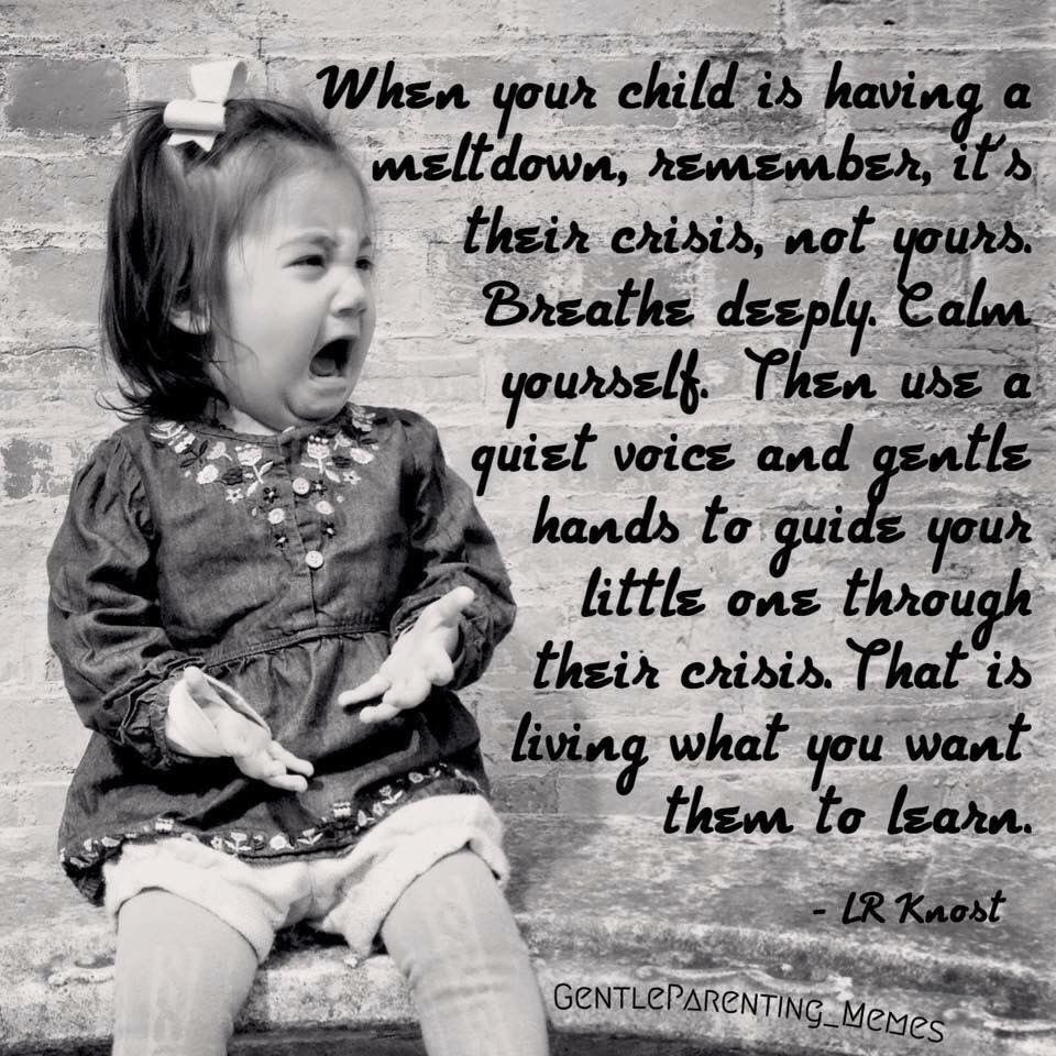 Sometimes it’s difficult to remain calm when a child is having a meltdown. Remember, a child needs you to be the one in control as they aren’t. Breathe, quiet voice, kind hands 😊 #childrensmentalhealth #emotions #hypnosis #hypnotherapy