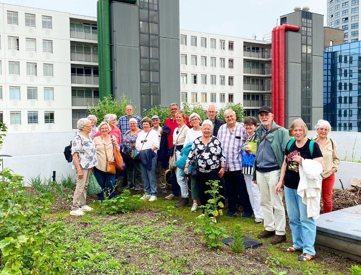 Twee excursiegroepen van Tuinvereniging @GroeiNL (Groei & Bloei/Dutch Royal Horticultural Society) uit #Tilburg op dakvisite vandaag op onze bloeiende #Dakakker. 📷 Rob Van Katwijk 🌱. Op 'n kantoorgebouw hartje #Rotterdam #CentralDistrict @vrcd.