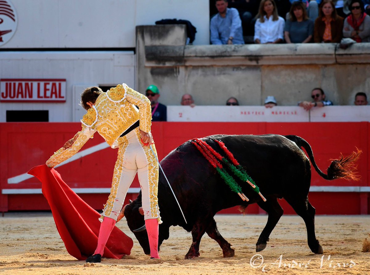 Tierras Taurinas tweet media