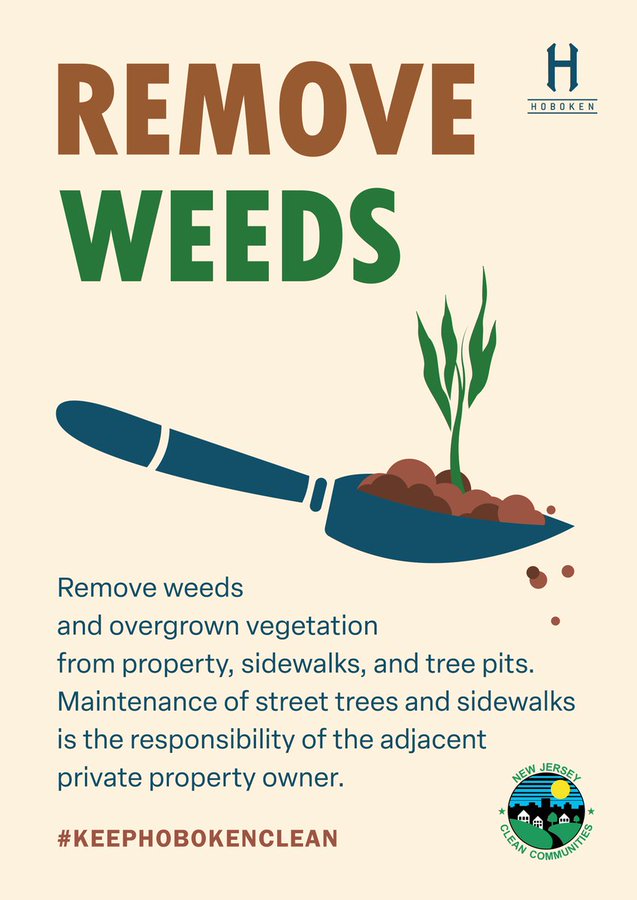 DYK property owners are responsible for maintaining their sidewalks and street pits? Removing weeds and overgrown vegetation will not only help keep Hoboken clean, but it can also help mitigate rodent activity.