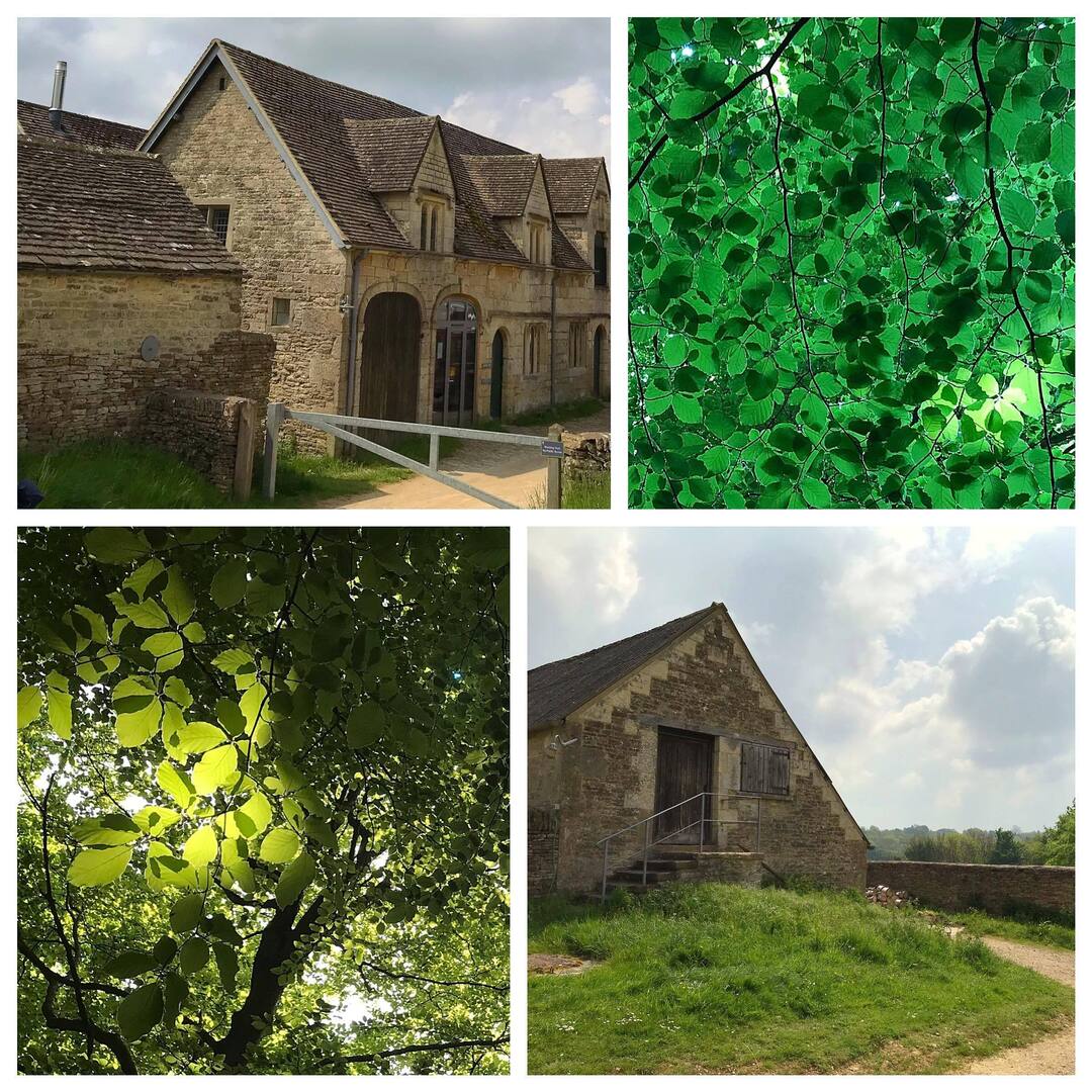 An uplifting day spent with @RuskinToday @ruskintoday visiting the Guild’s #wildflower meadow in #Sheepscombe & the beautiful village of #Sapperton
.
Excellent guides in the form of Charlotte Targett of @NaturalEngland @naturalengland & Mary Greensted, specialist in the #Artsan…