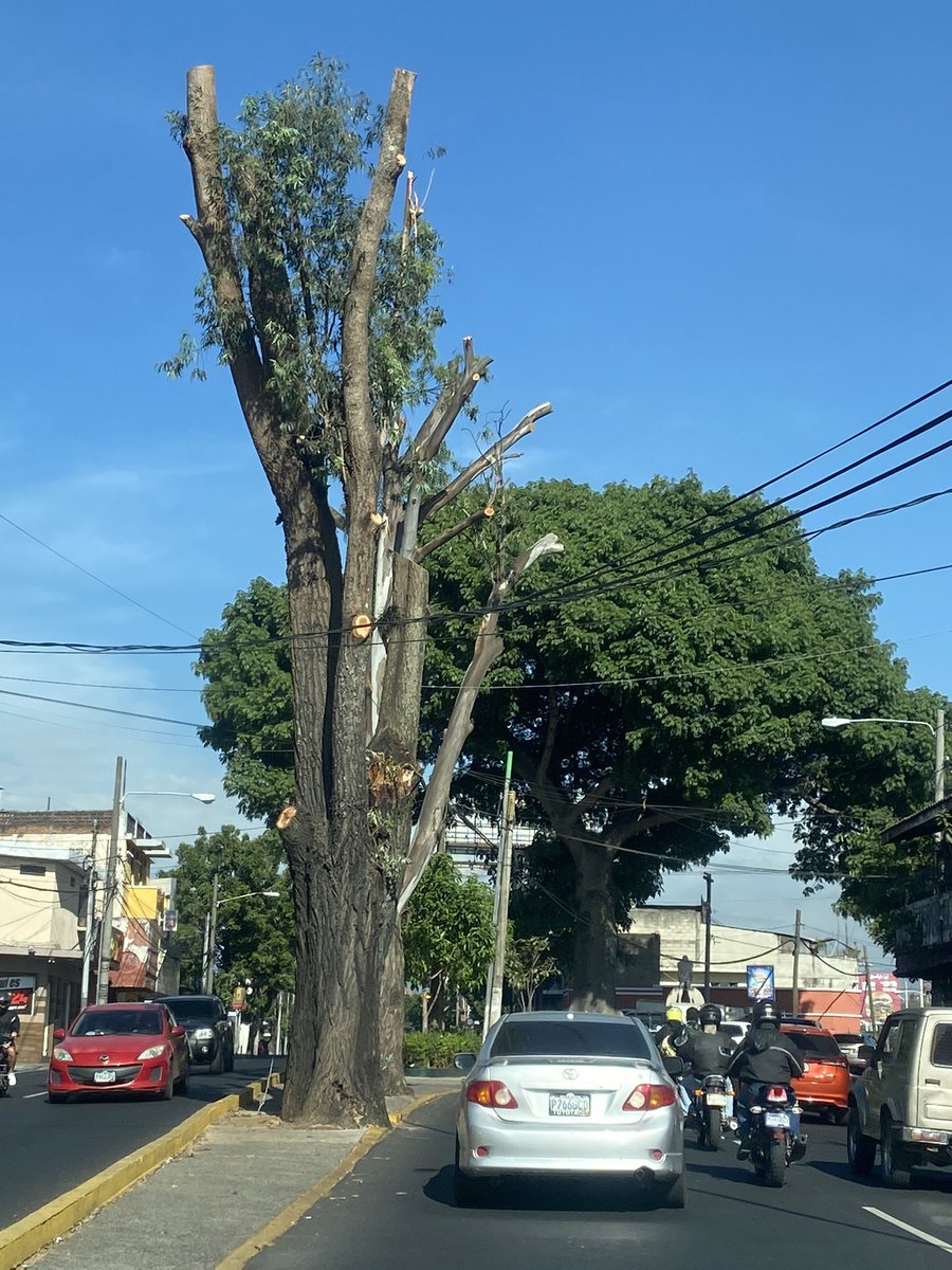 Richi_Ardiano tweet media