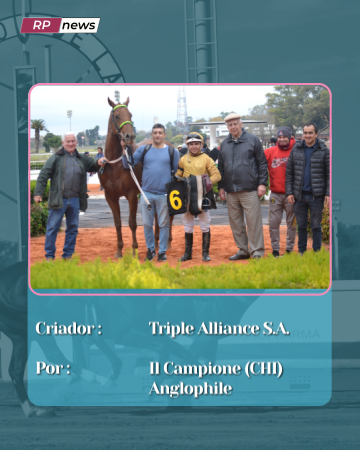 Revista Palermo tweet media