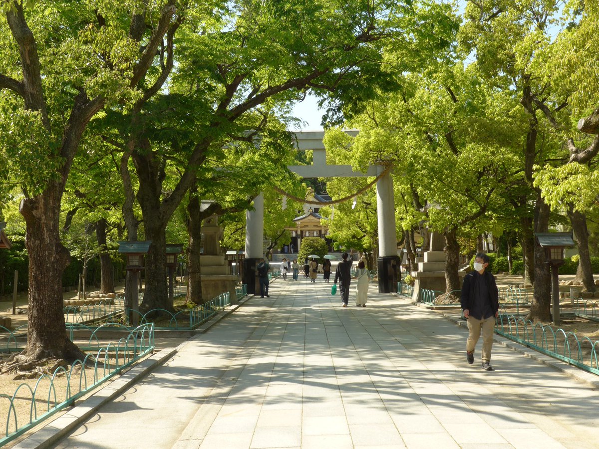 朝は涼しいんだけどな 今日も昼間は暑くなりそう まだ5月なのに真夏日とか真夏になったらどうなるこれ おはようございます #LUMIX #LF1 #神戸 #湊川神社