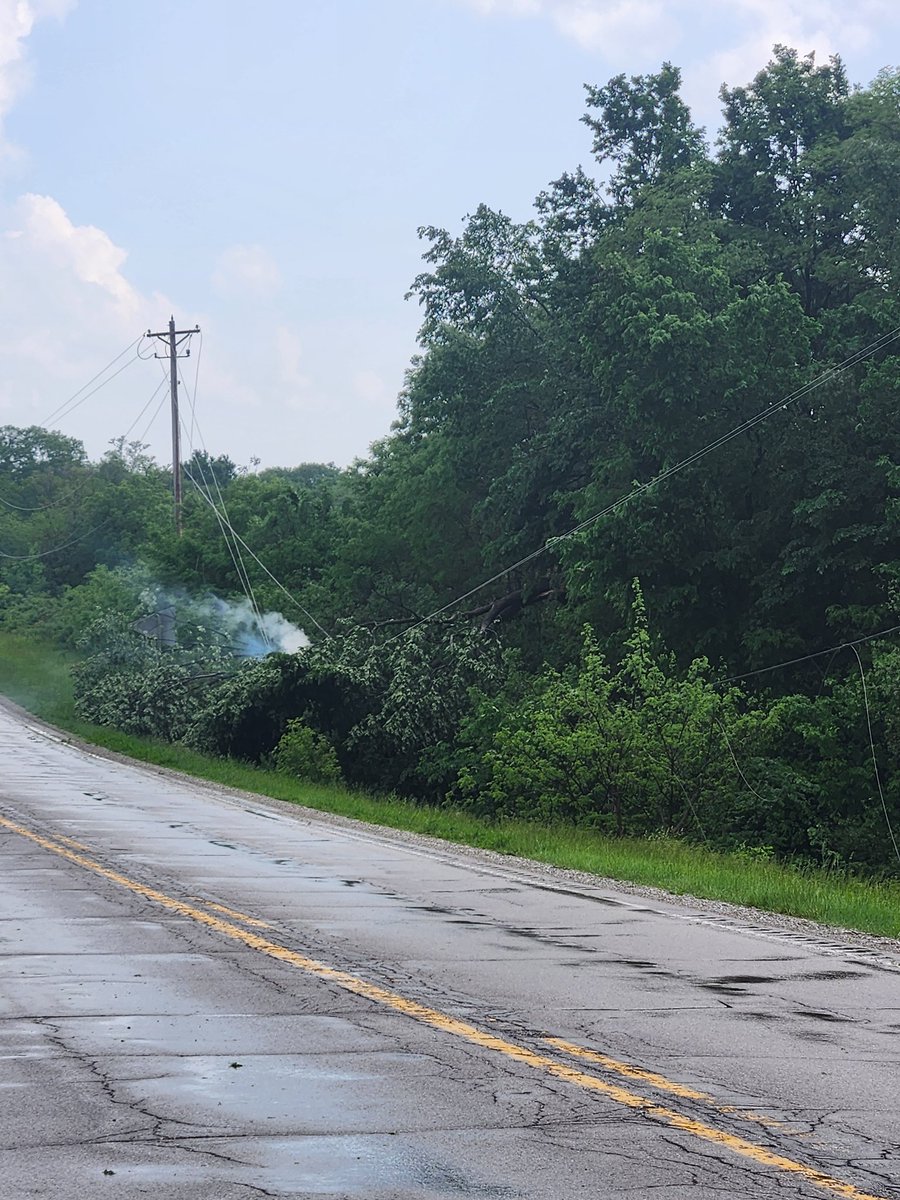 Tree downed on top of powerlines and smoldering. 1 mile south of Hamilton, IA #iawx <a href="/NWSDesMoines/">NWS Des Moines</a>