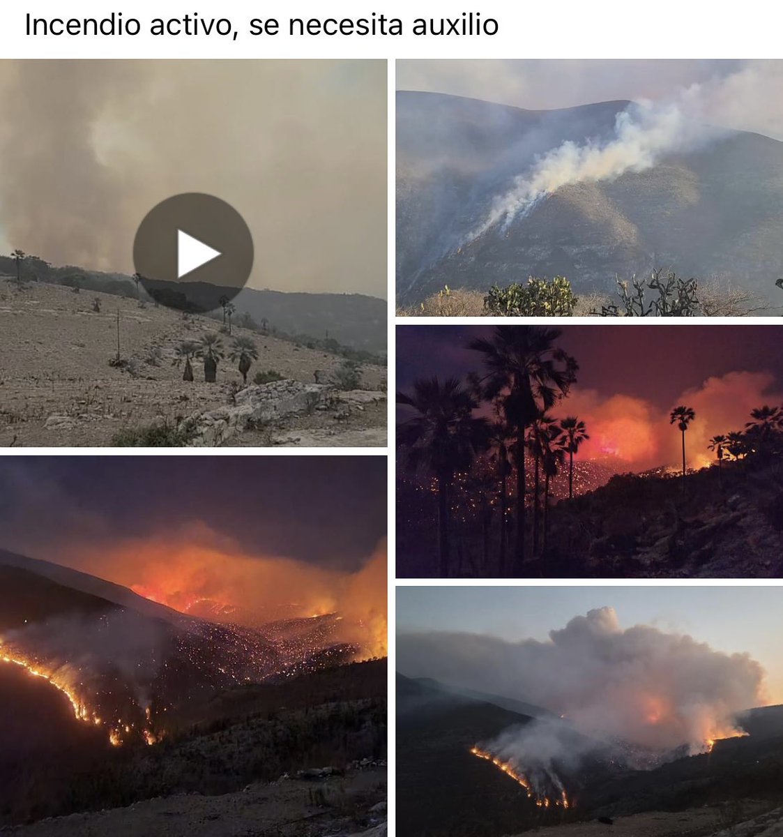 AdrinJavier5's tweet photo. @jesusromerooax @CONAFOR @COESFO_GobOax @CONANP_mx Que se haya atendido no significa ni cerca que esté controlado, el incendio está fuera de control y se acerca peligrosamente a algunas Comunidades. https://t.co/ANM18ODb4Z