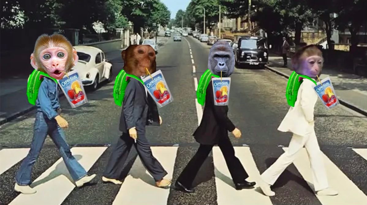 hooraymonkey's tweet photo. @artsch00lreject Don't forget backpack monkey 🐒🎒

$HOORAY https://t.co/VKODxRd81V