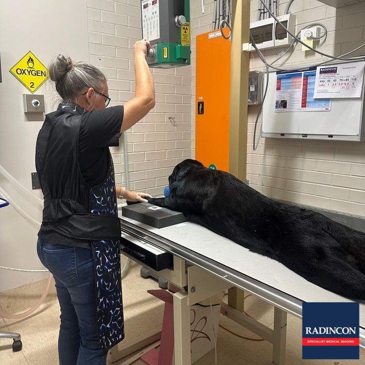 Radincon - Specialist Medical Imaging tweet media