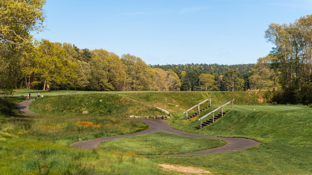 Fried Egg Golf tweet media