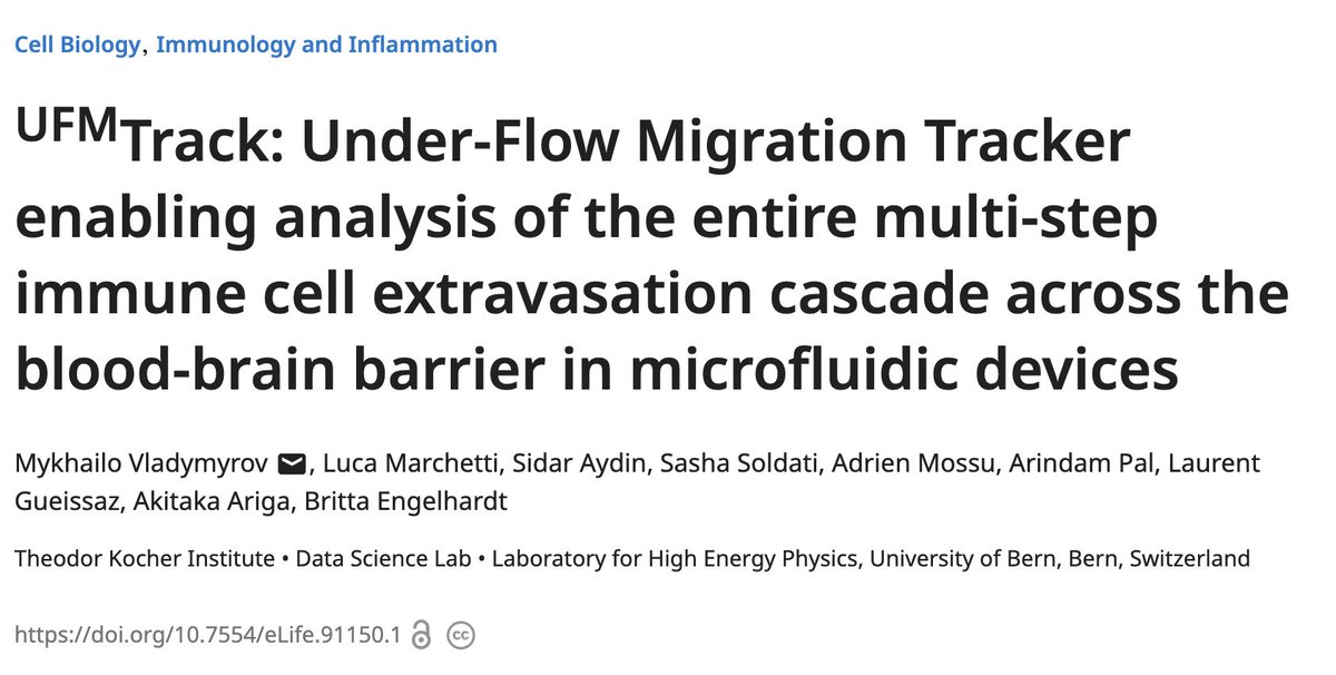 Sidar Aydın, PhD (@sidaraydin) on Twitter photo Stoked to share our new paper with <a href="/Britta_in_Bern/">Britta Engelhardt</a> <a href="/eLife/">eLife - the journal</a>! Analyzing immune cell-endothelium interactions is laborious. Our UFMTrack tool automates this analysis, matches expert accuracy, and eliminates bias. Kudos to Mykhailo for leading this work! doi.org/10.7554/eLife.… Stoked to share our new paper with <a href="/Britta_in_Bern/">Britta Engelhardt</a> <a href="/eLife/">eLife - the journal</a>! Analyzing immune cell-endothelium interactions is laborious. Our UFMTrack tool automates this analysis, matches expert accuracy, and eliminates bias. Kudos to Mykhailo for leading this work! doi.org/10.7554/eLife.…
