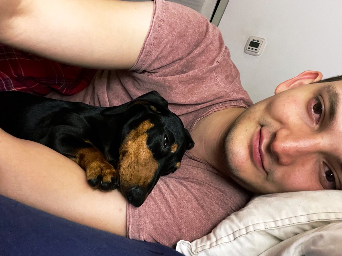 a_schmelzkaes's tweet photo. Gute Nacht ๐ด
#Lotte #Dackelcontent https://t.co/n54GVyw0tM