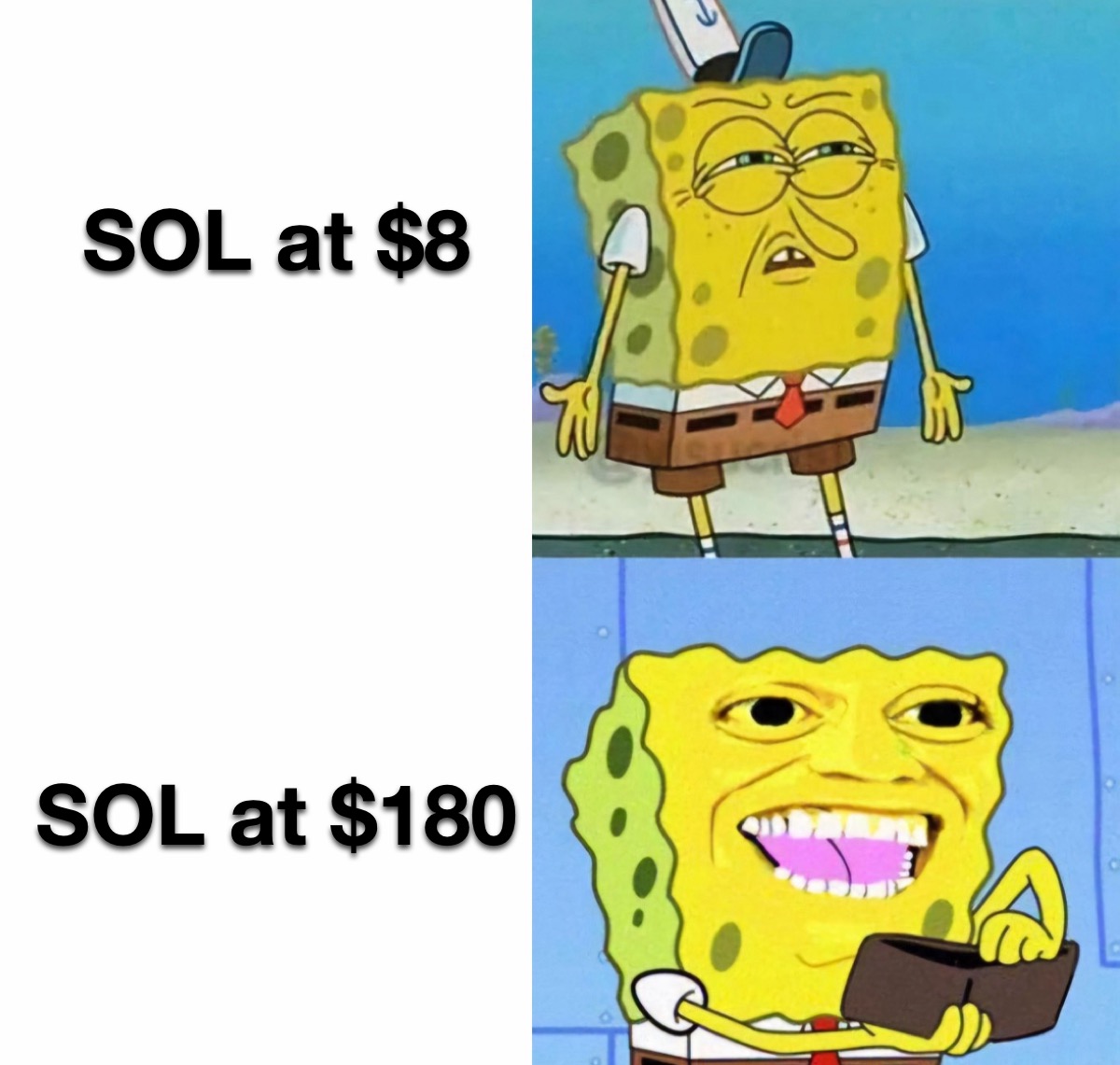 SOL at $8 vs SOL at $180