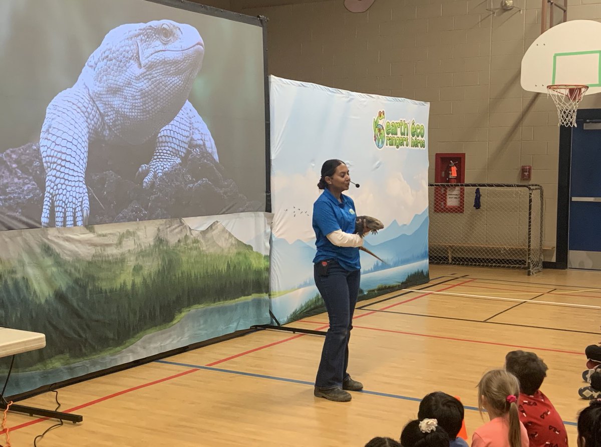 We really enjoyed the <a href="/EarthRangers/">Earth Rangers/Éco Héros 🐸🌎</a> assembly this afternoon! Thank you for sharing with us and for bringing your special friends! #WeAreCBE <a href="/CBEArea3/">CBE Area 3</a>