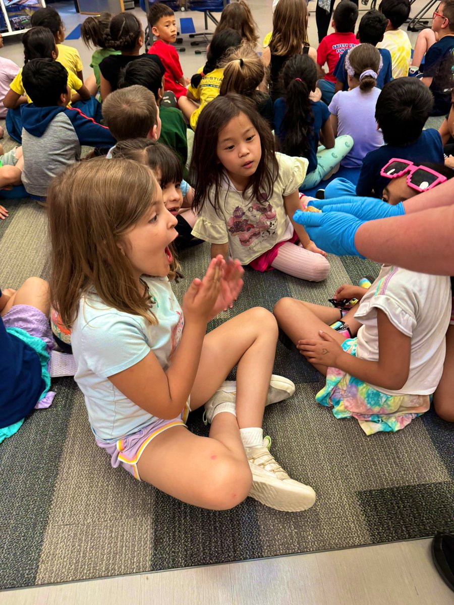 Olivia Oquist tweet media