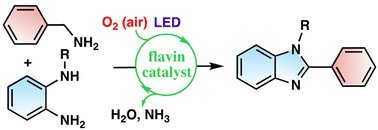 Aerobic oxidative synthesis of benzimidazoles by flavin photocatalysis pubs.rsc.org/en/Content/Art…