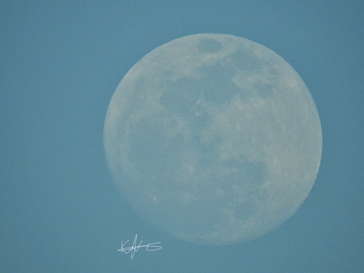 #DaytimeMoon 
#FloridaMoon 🌕