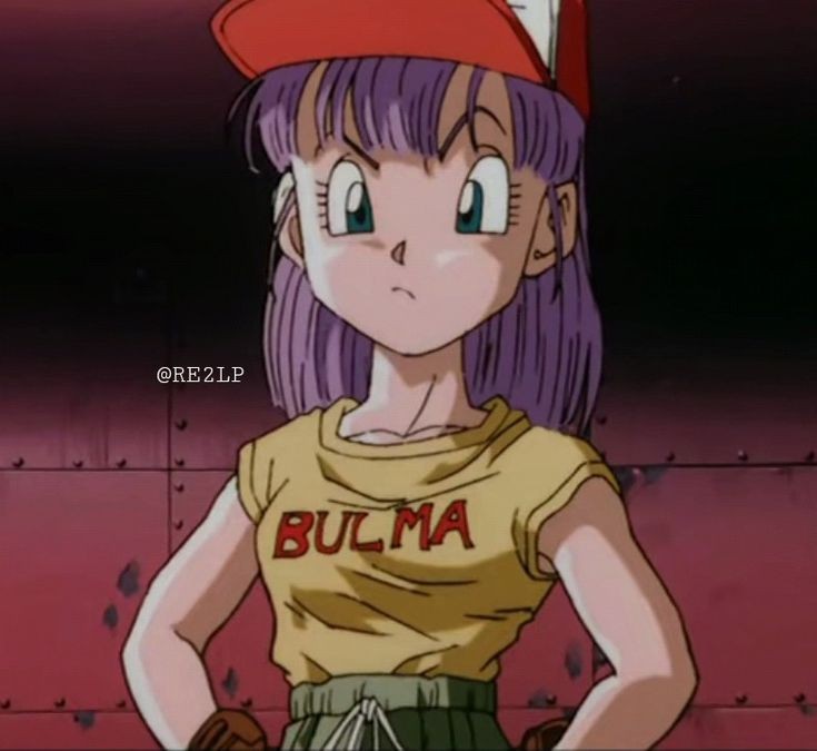 Daily Bulma (@daily_bulma) on Twitter photo 2024-05-21 23:30:36