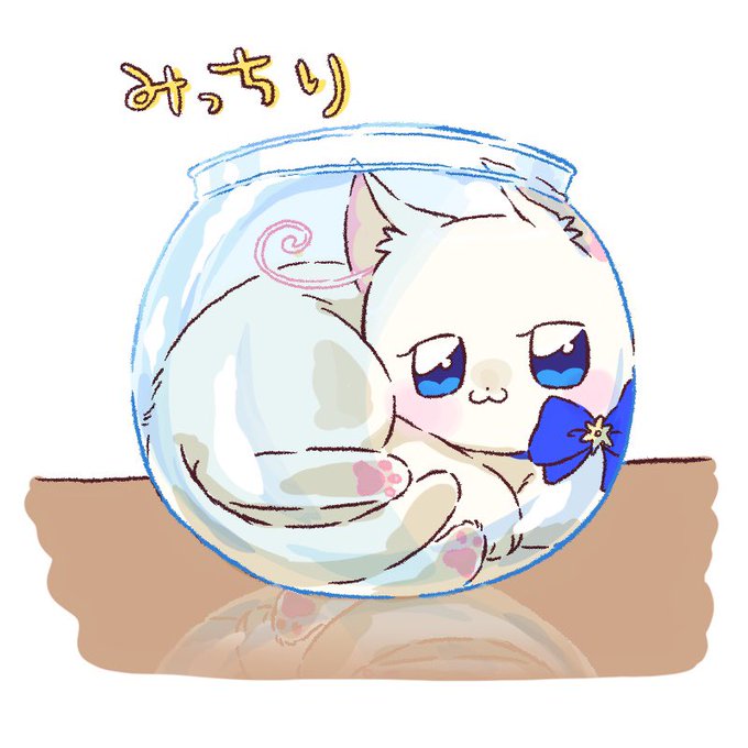 「蝶ネクタイ 白い猫」のTwitter画像/イラスト(新着)