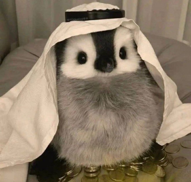 An Arab millionaire penguin.  😂